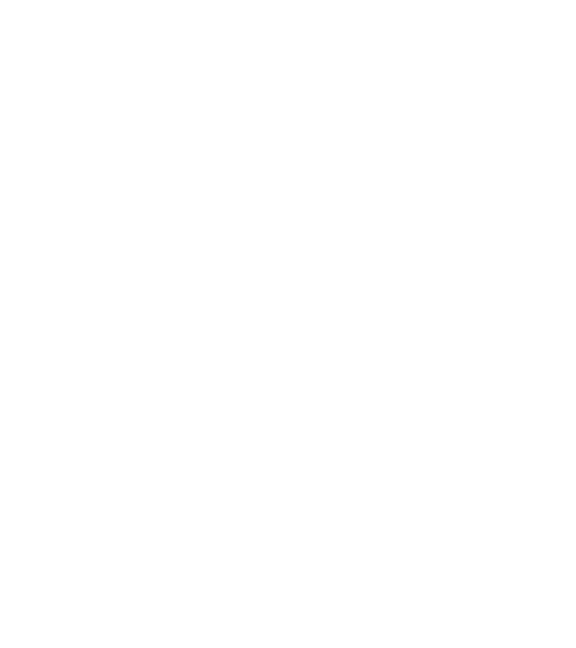 nilas-physio-high-resolution-logo-color-on-transparent-background